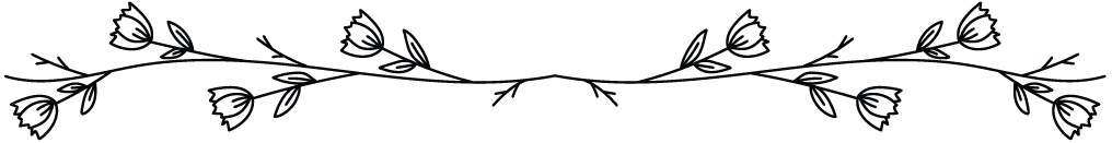 FlowesrsDivider Black